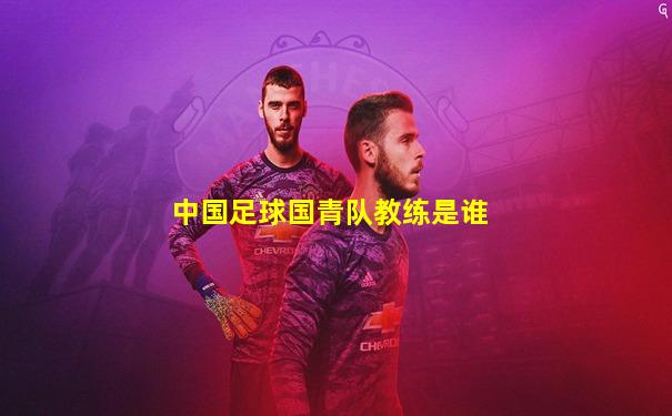 中国足球国青队教练是谁