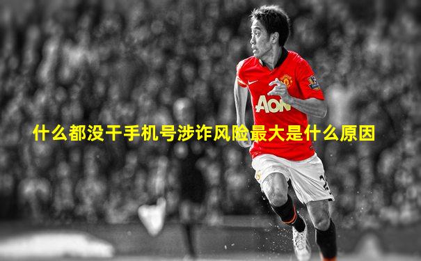 什么都没干手机号涉诈风险最大是什么原因
