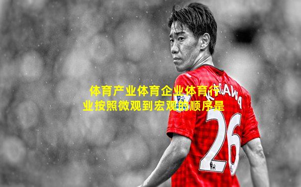 体育产业体育企业体育行业按照微观到宏观的顺序是