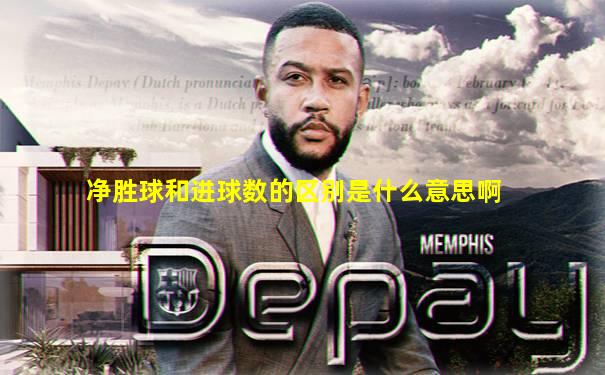 净胜球和进球数的区别是什么意思啊