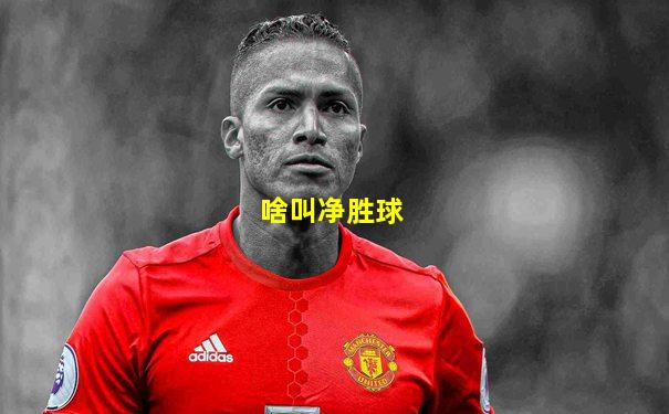 啥叫净胜球