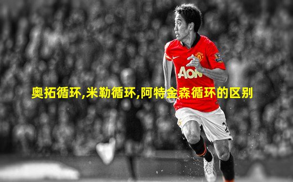 奥拓循环,米勒循环,阿特金森循环的区别