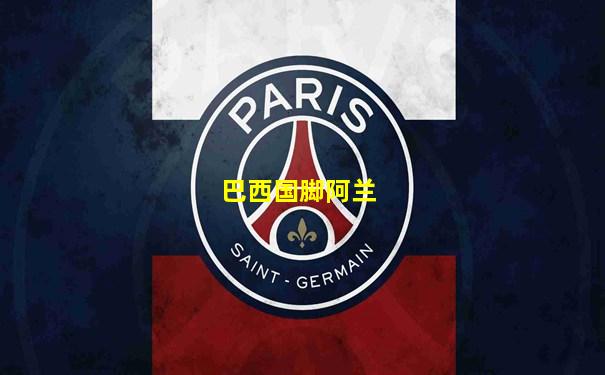 巴西国脚阿兰
