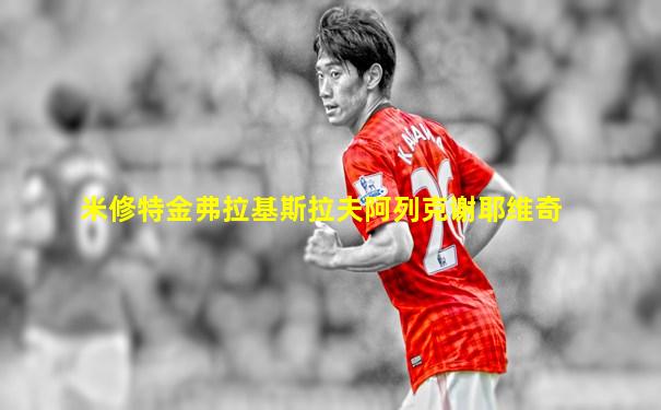 米修特金弗拉基斯拉夫阿列克谢耶维奇